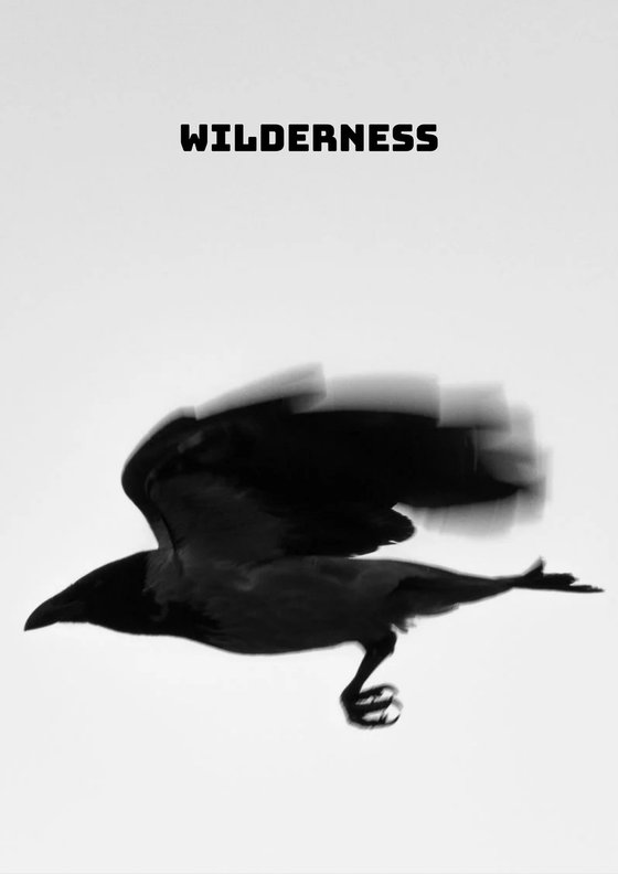 Wilderness