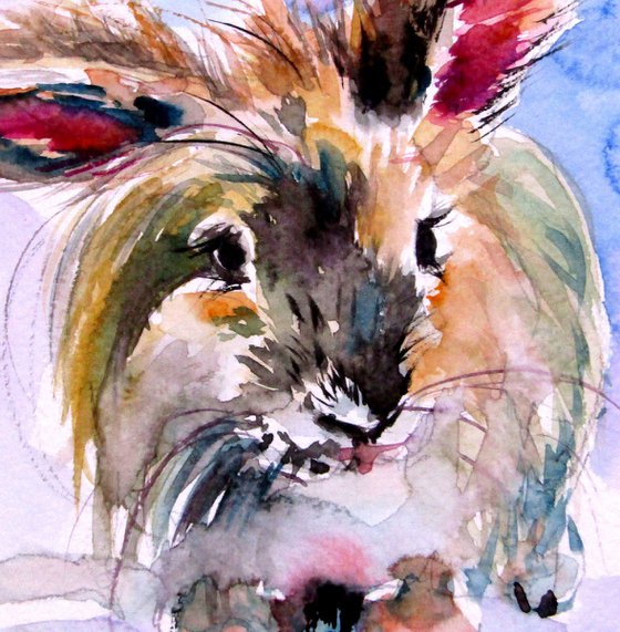 Cute rabbits collection II