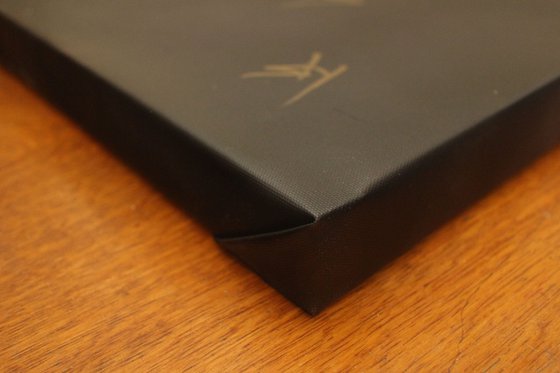 TRUMP'S SNEAKERS (BC).