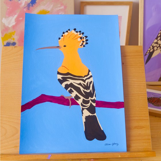 Hoopoe