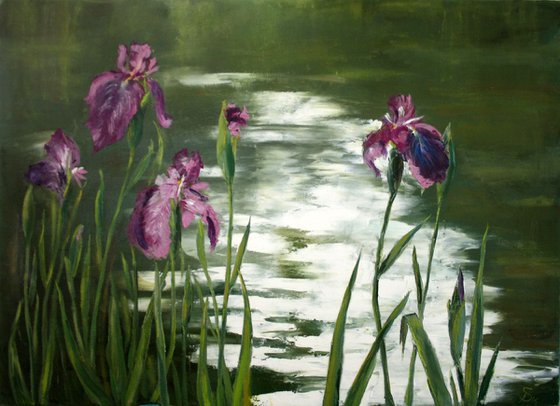 Pond with irises