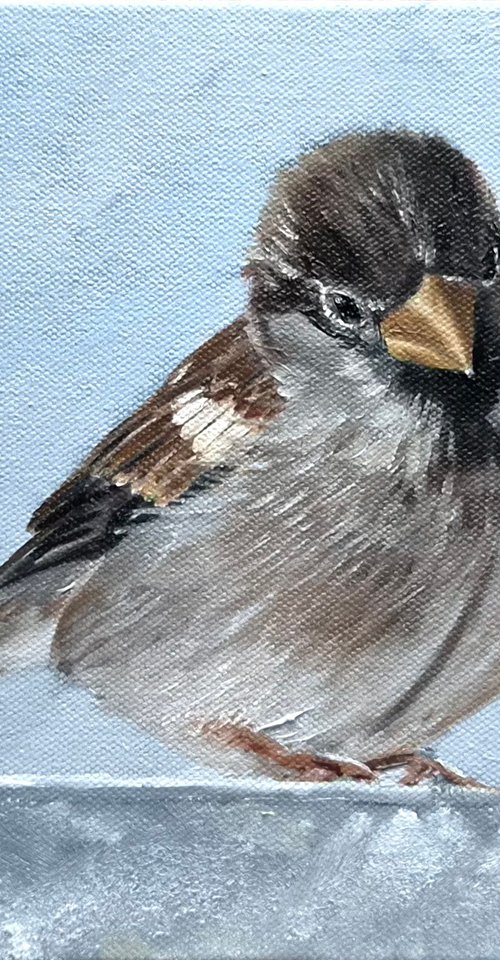 Little Sparrow by Ira Whittaker