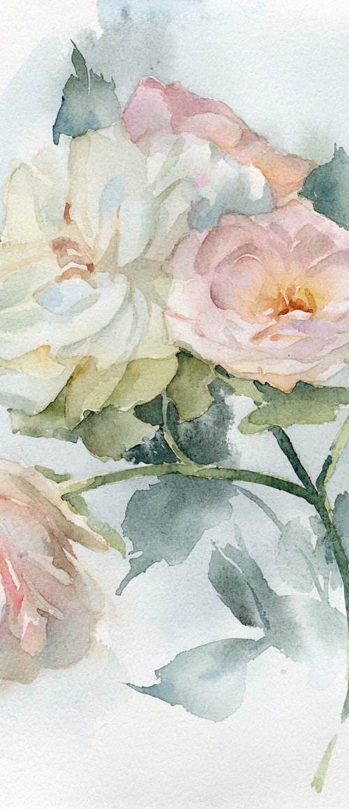 Delicate watercolor roses by Yulia Evsyukova
