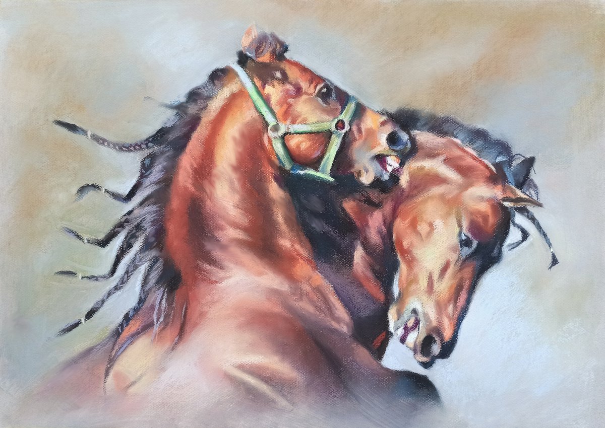 stallions by Magdalena Palega