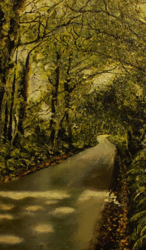 Wooded road by John O'Callaghan