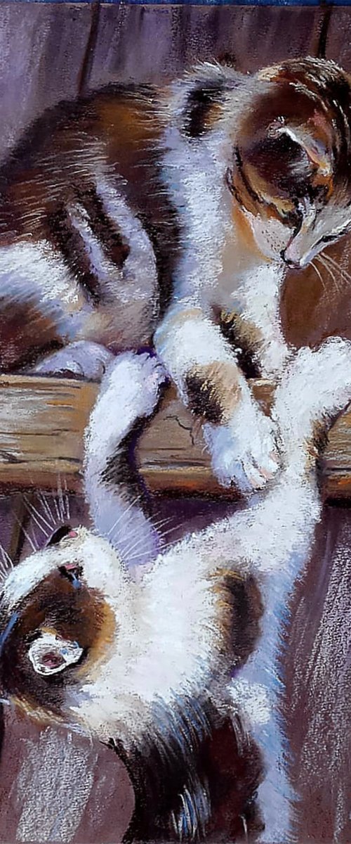 Playful Kittens on the Fence by Liubov Samoilova