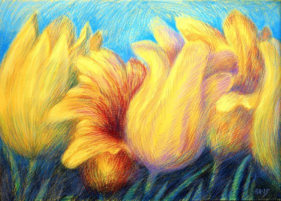Tulips Yellow 4