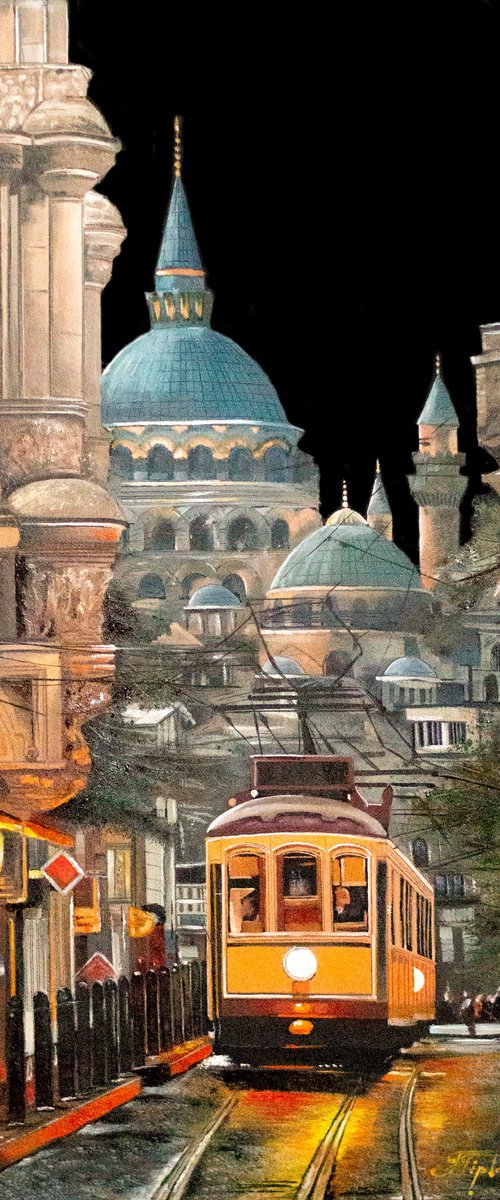 Istanbul. Turkiye by Tetiana Tiplova