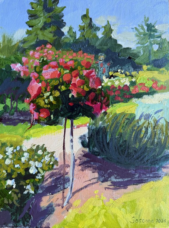Sunny roses