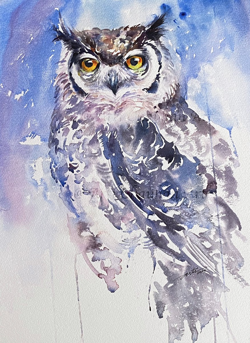 Impressionistic Animal Watercolour By Arti Chauhan, 12 X 16, Astrid_ Eagle Owl, Original Artwork
