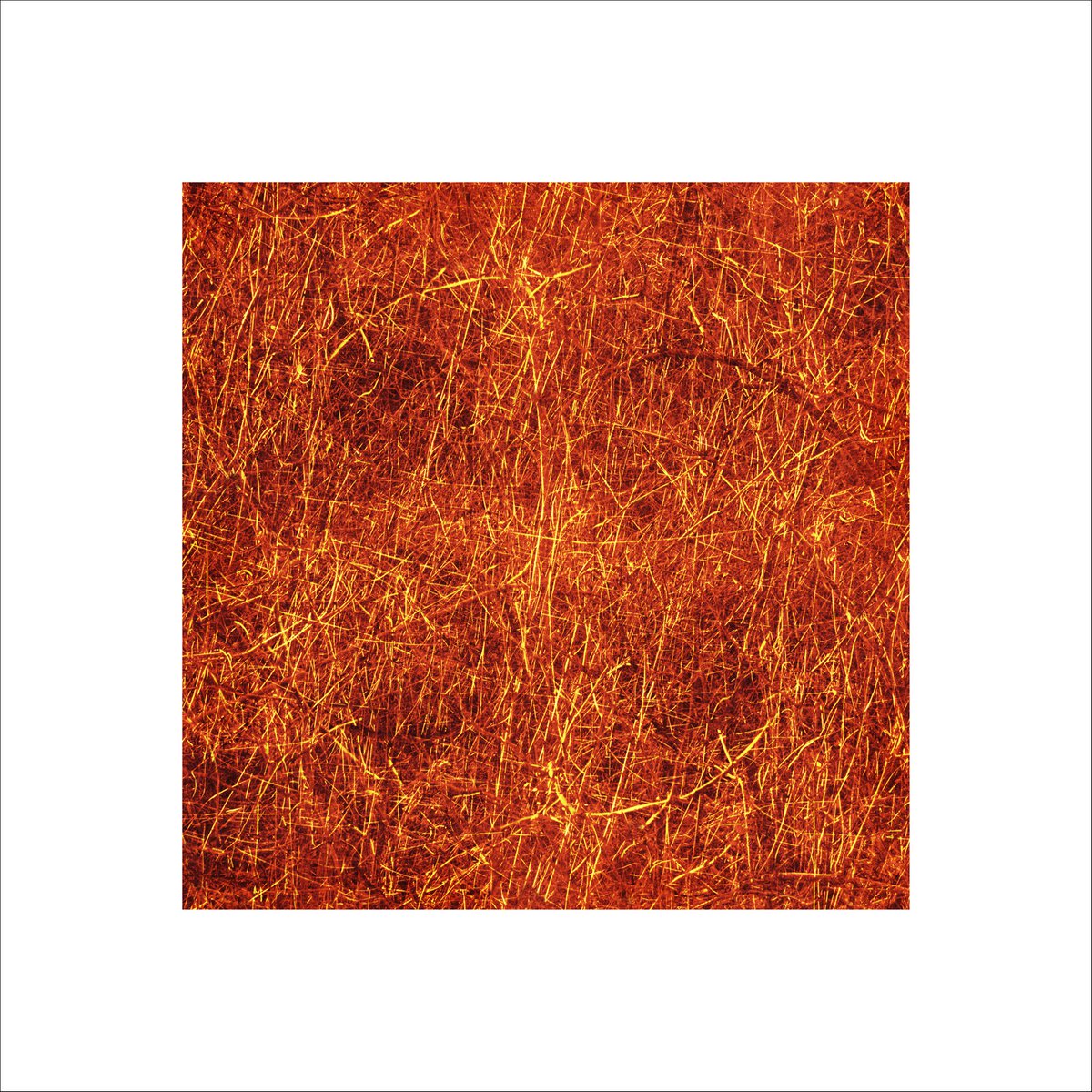 Organic Abstract Photograph By Paul Harrison, 30 X 30", Signs #17, Original Artwork