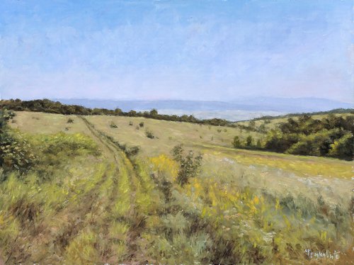 Meadow in Rabbit Slopes by Dejan Trajkovic
