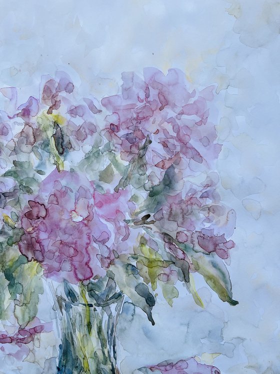Peonies 50x65 cm 2025