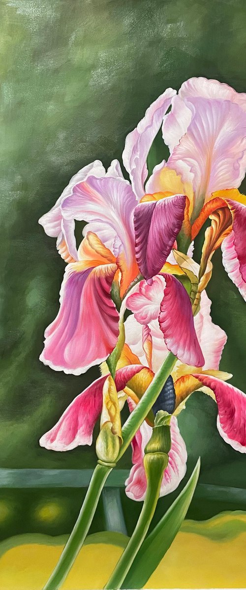 Beautiful flowers t263 by Kunlong Wang