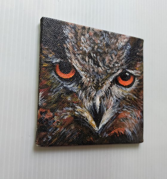The Owl- Eurasian Eagle Owl