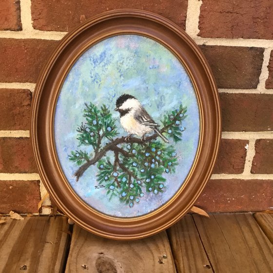 CHICKADEE # 51 - 10X8 oval oil  (SOLD)