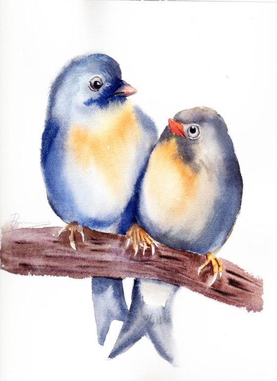 Couple Birds
