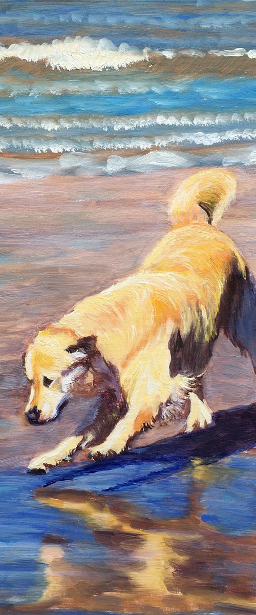 Dog at the sea 4 by Elena Sokolova