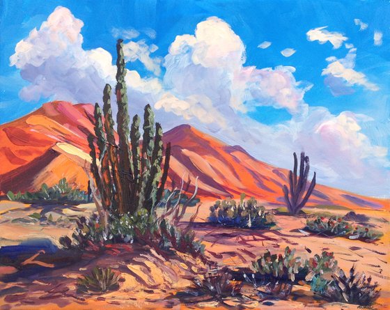 Desert