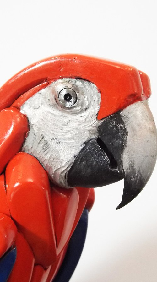 Parrot by Nikolay Nedev