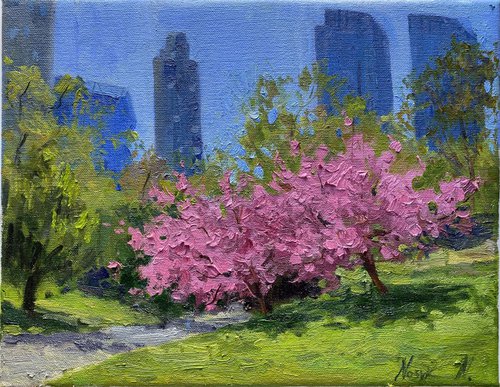 Cherry Blossom in Central Park by Nataliia Nosyk