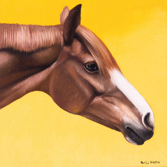 Horse Portrait 89