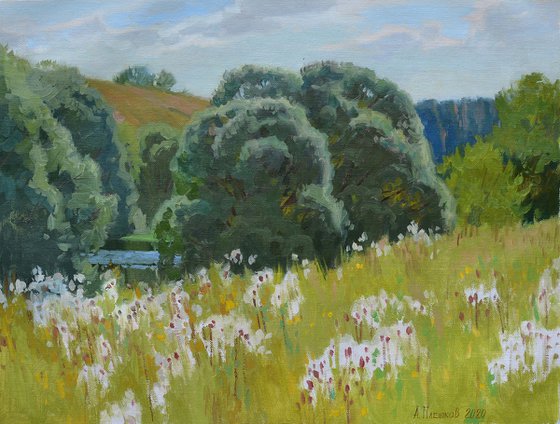 The bank of Oka river