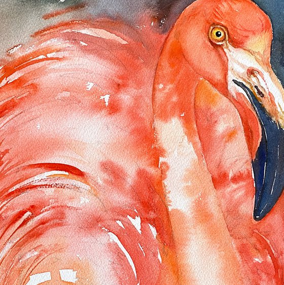 Blush of Grace_Flamingo