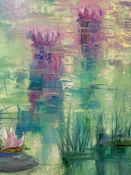 Pond Water lilies.