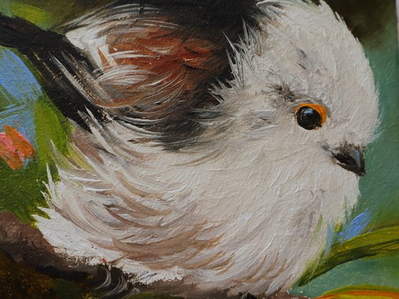 Bird, Silver-throated Bushtit