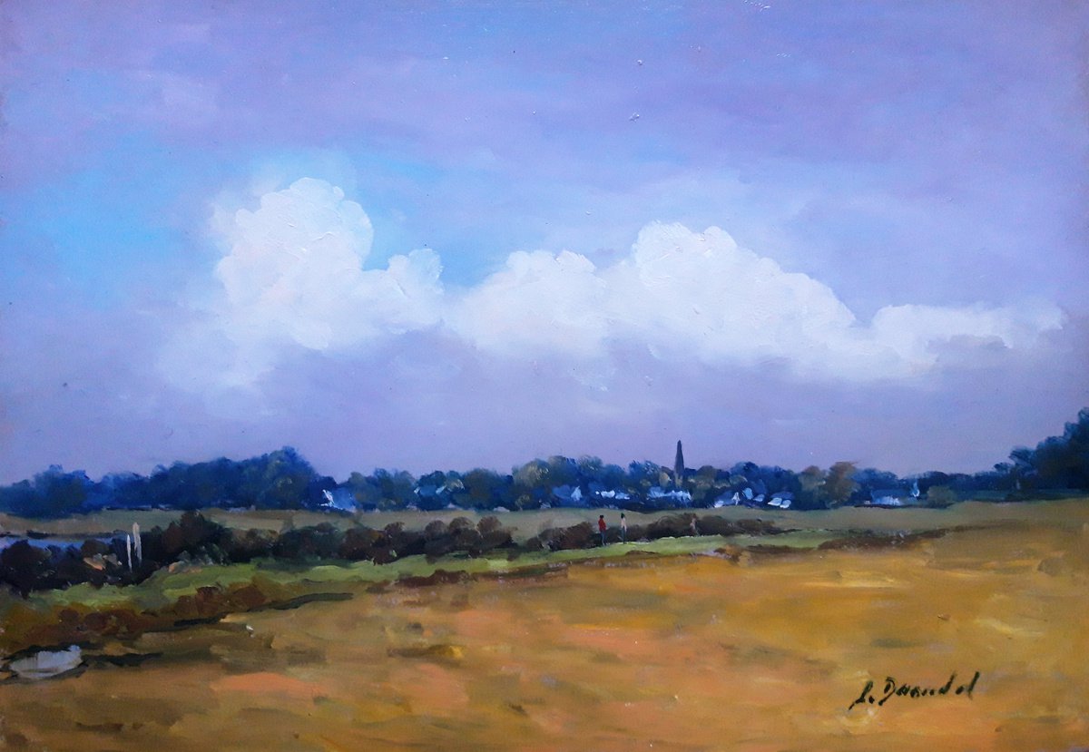 Marsh at Saint Armel by Jose DAOUDAL