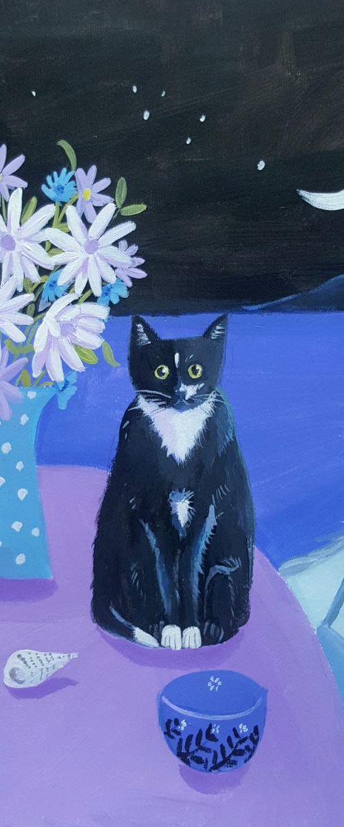 Midnight cat by Mary Stubberfield