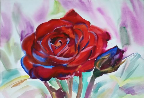 Rose by Valentina Kachina