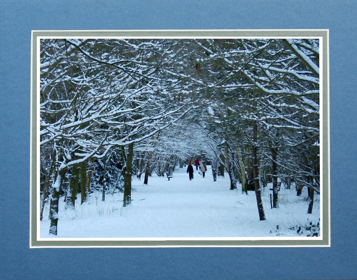 Snow Tree Tunnel by Robin Clarke