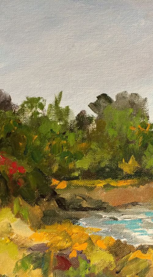 17 Mile drive View point by Ramya Sarveshwar