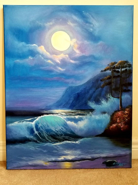 Moonlight Reflection