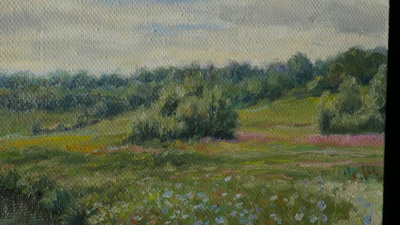 Floral Fields - summer landscape painting