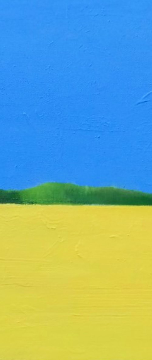 Rapeseed Fields, Hampshire IV by Jan Rippingham