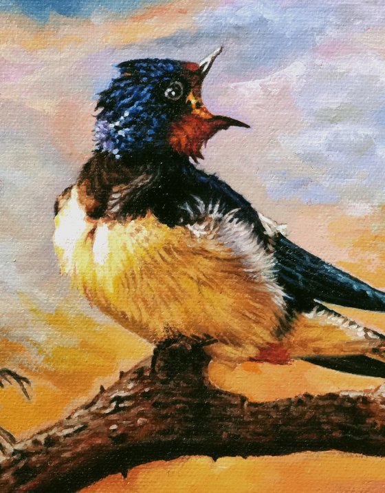 Two Birds