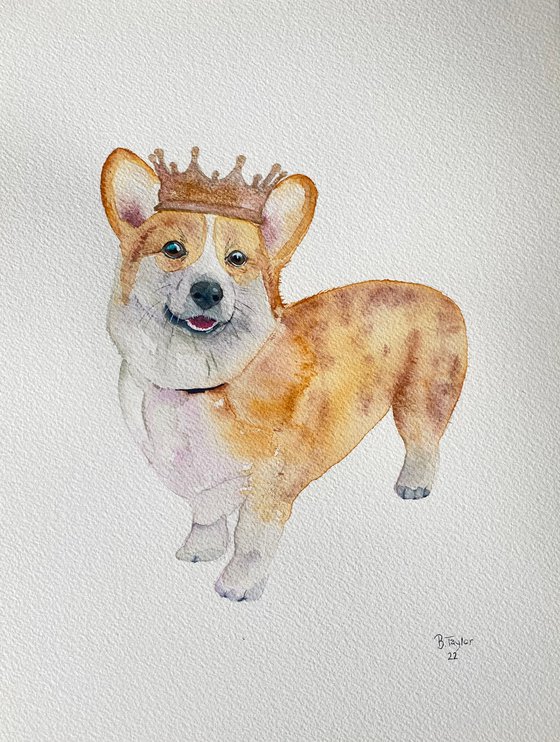 Corgi watercolour painting. In loving memory