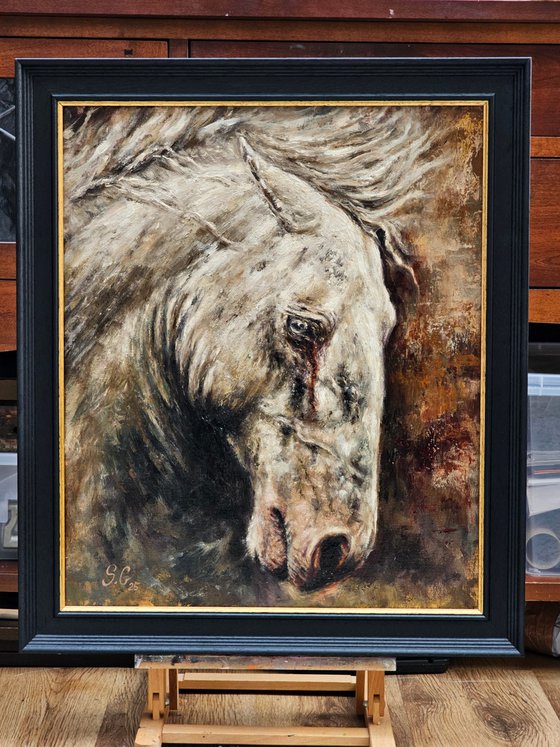 Wounded-Original Horse Portrait