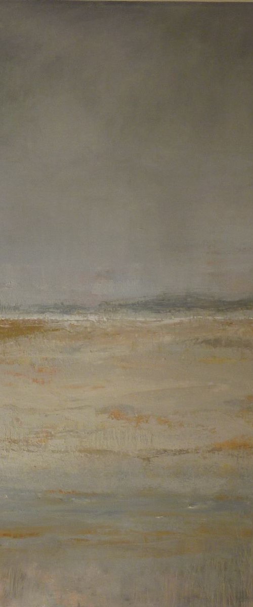 Tiny Islands by Fiona Philipps