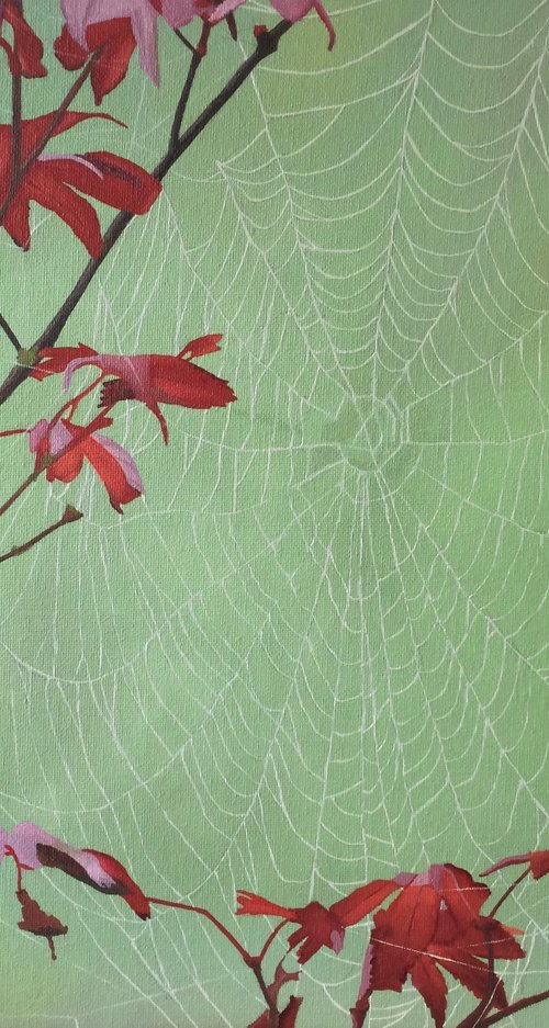 Spiderweb (red leaves) by Jill Ann Harper
