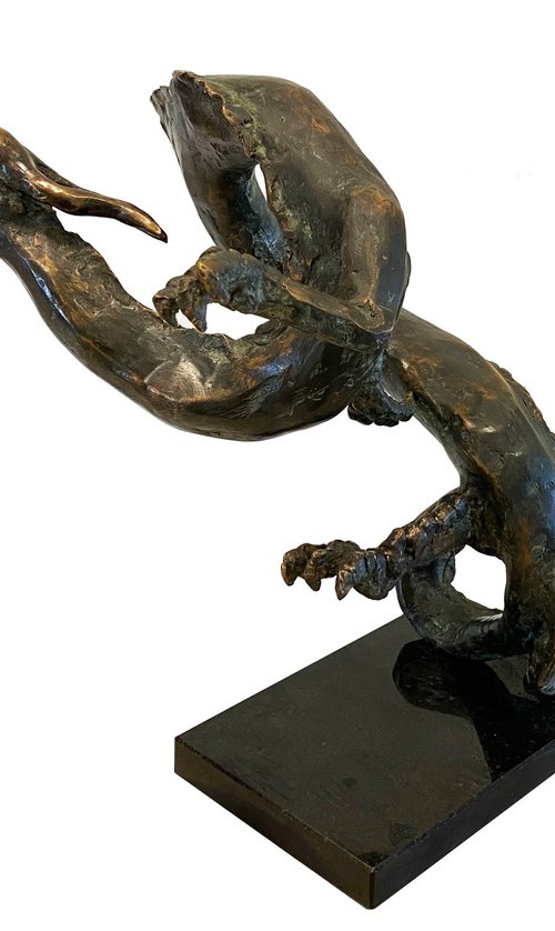 Chinese dragon by Toth Kristof