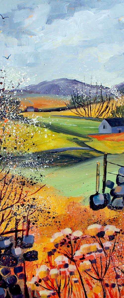 Blackthorn Blossom (Yorkshire Dales) by Julia  Rigby