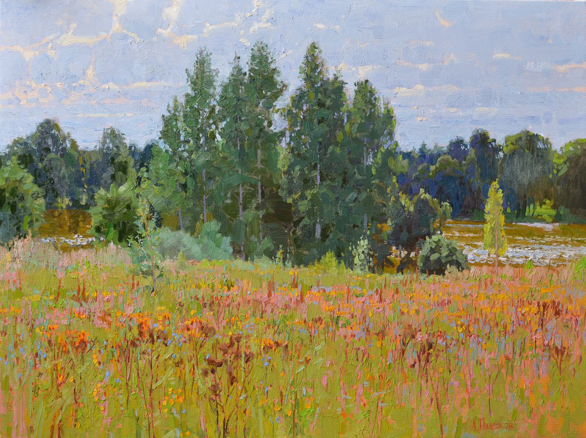 Summer days by Alexey Pleshkov