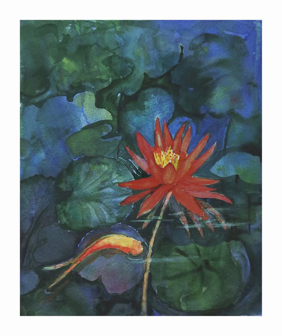 Water lily and Koi pond