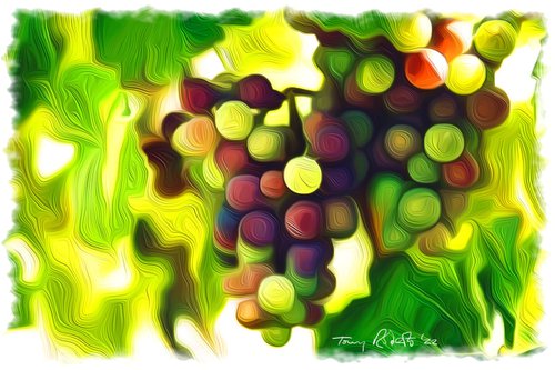 Grapes are not only fruit by Tony Roberts