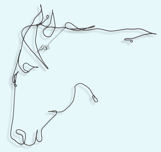 Horse #7645
