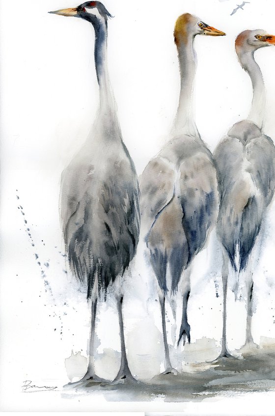 Three herons